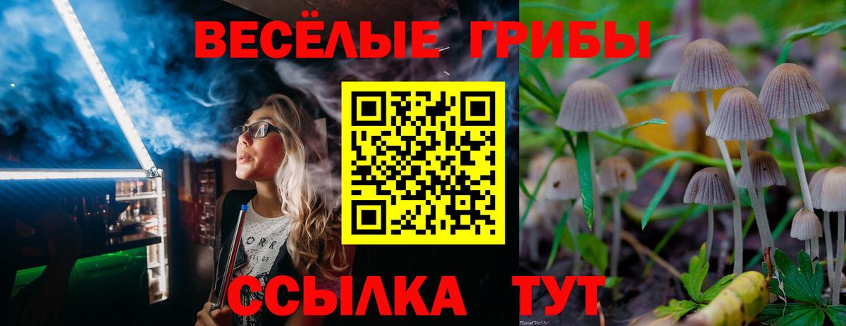Псилоцибиновые грибы GOLDEN TEACHER  Псилоцибиновые грибы Psilocybine cubensis  Вход с VPN  Вышний Волочёк 